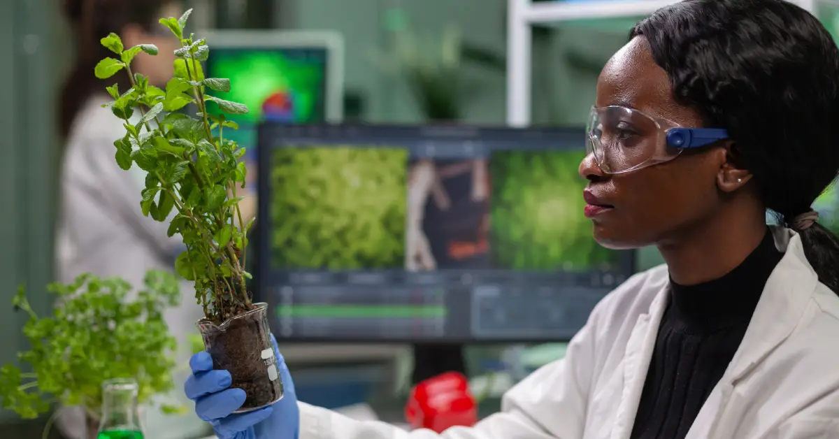 Agribusiness Entrepreneurship