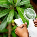 Advocacy and Policy Influence