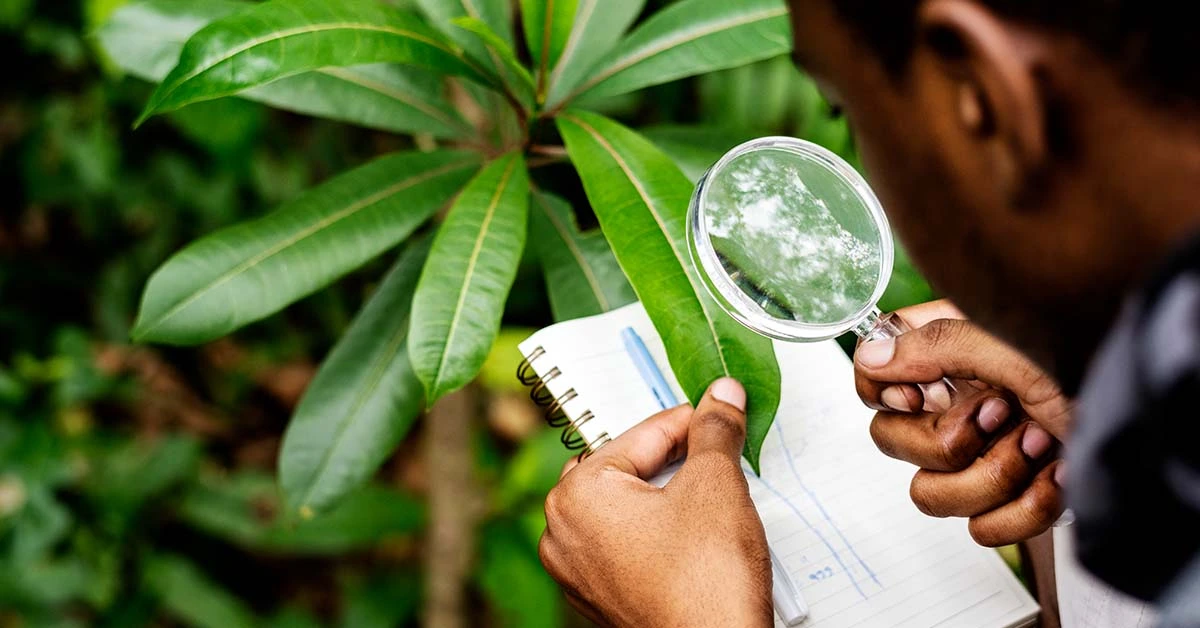 Advocacy and Policy Influence